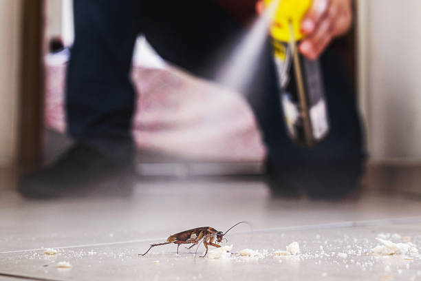 Best Mosquito Control Services  in Ele, AR